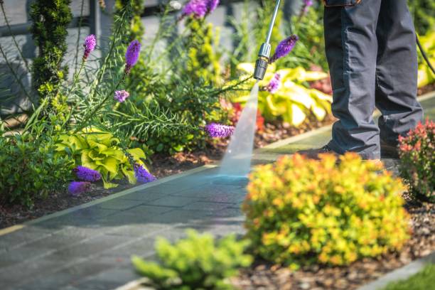 Best Parking Lot and Garage Cleaning  in Heritage Lake, IL